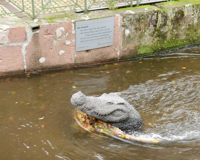 Croc in the Fischerau